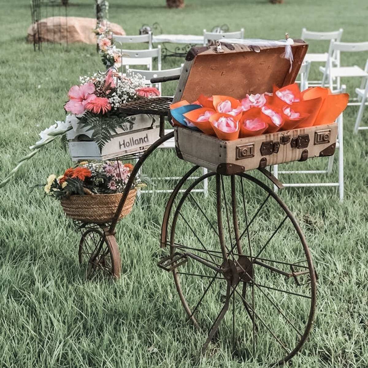 275937878_358696989461511_8941412660771226780_n