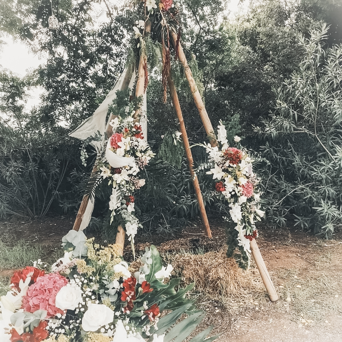 276258717_1437790926638964_1075286398836295676_n